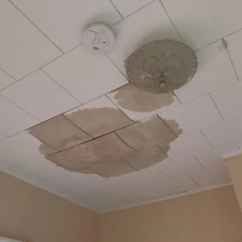 Ceiling Water Damage Repair in Meridian, OK
