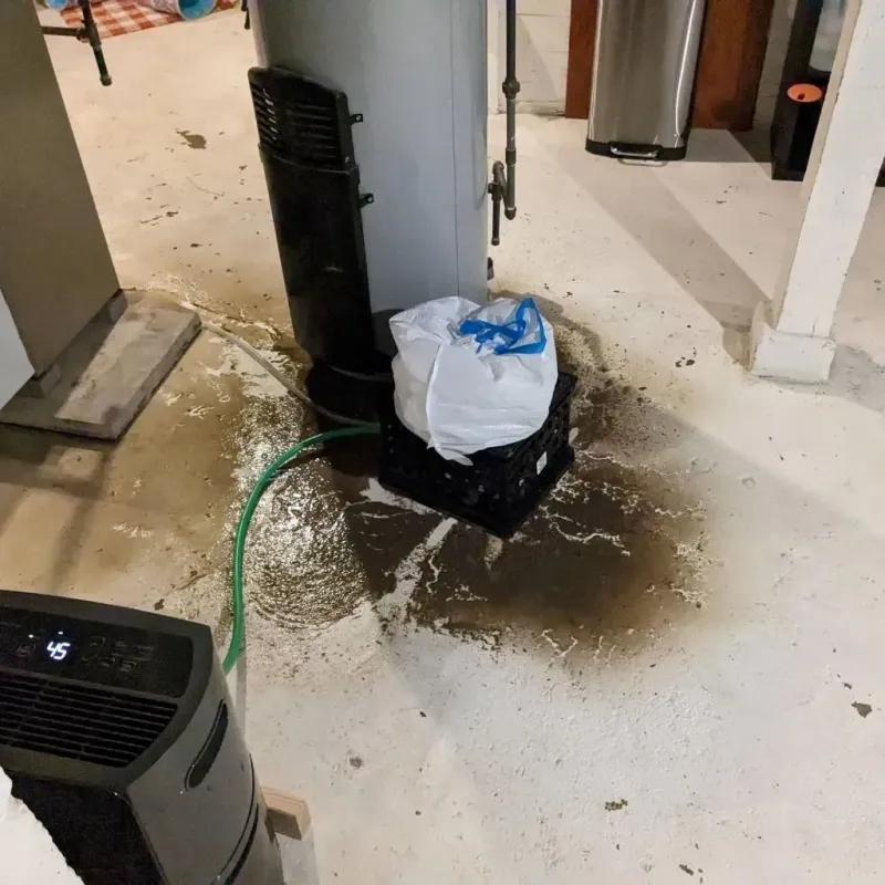 Sewage Backup Cleanup Service in Meridian, OK